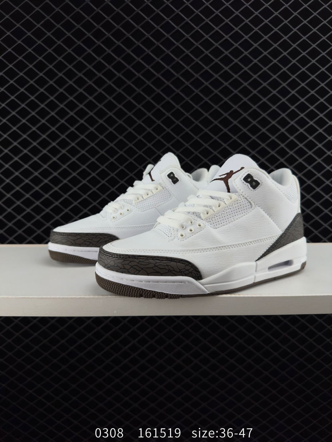 Nike Air Jordan 3 Retro SE